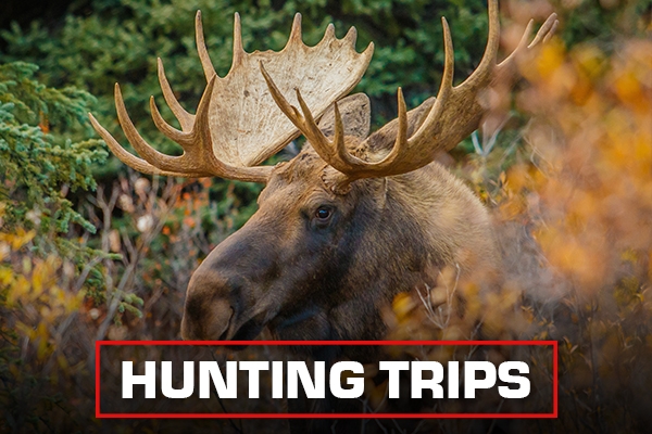 Hunting Trips