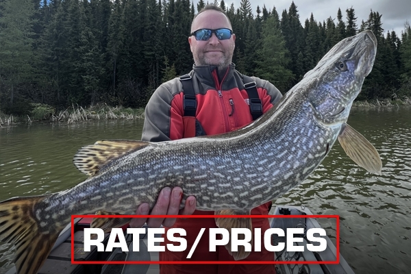 Rates